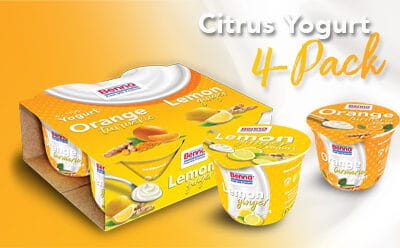 New Citrus Yogurt 4-Pack