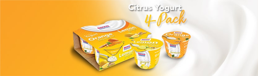 New Citrus Yogurt 4-Pack